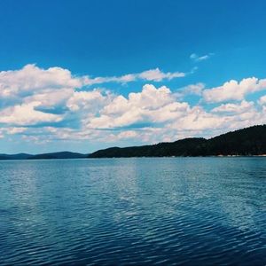 Meet your Posher, Bailey